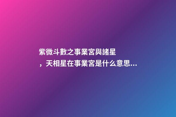 紫微斗數之事業宮與諸星，天相星在事業宮是什么意思？